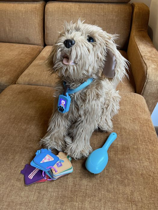 Pies Piksel – piesek interaktywny