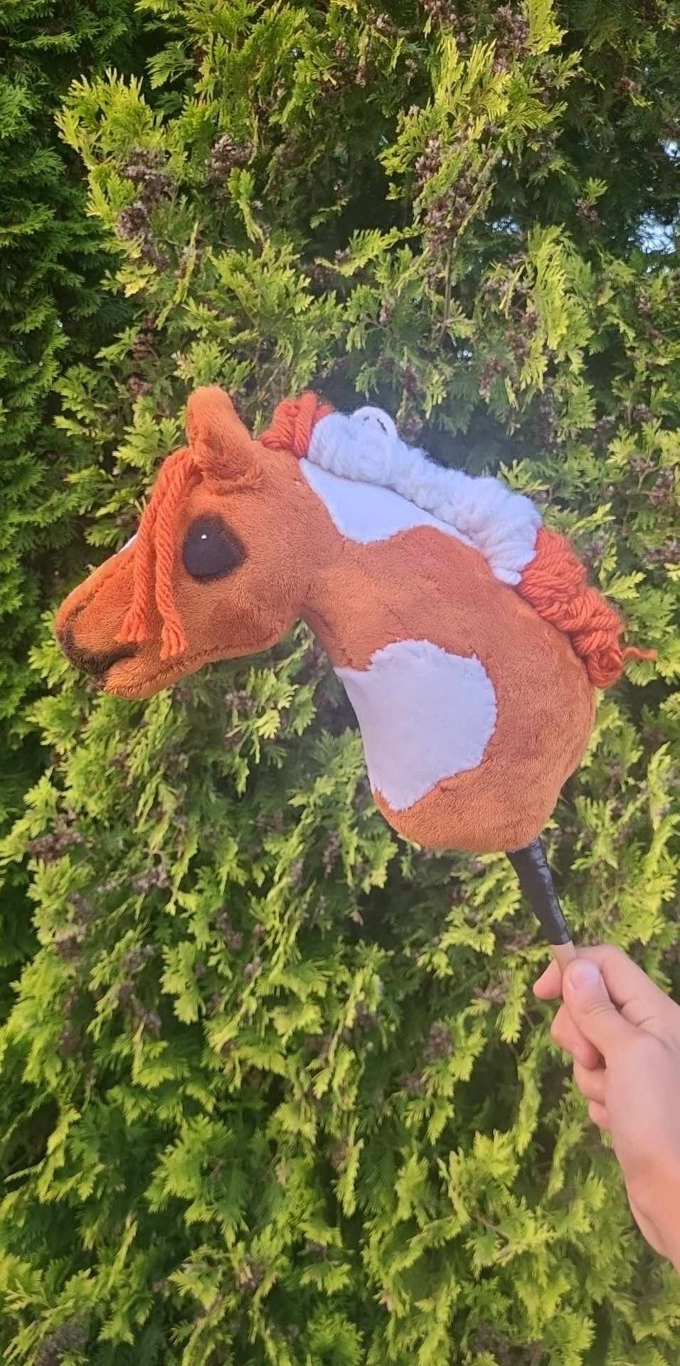 Hobby horse srokaty