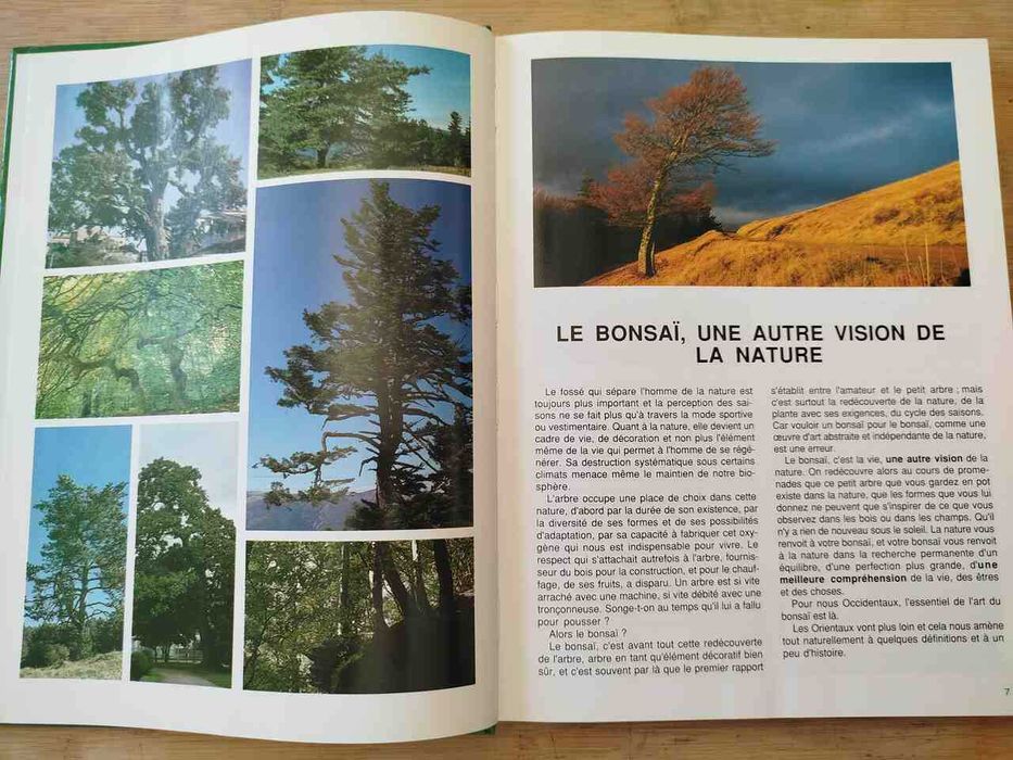 Reussir Son BONSAI Conseuls Pratiques