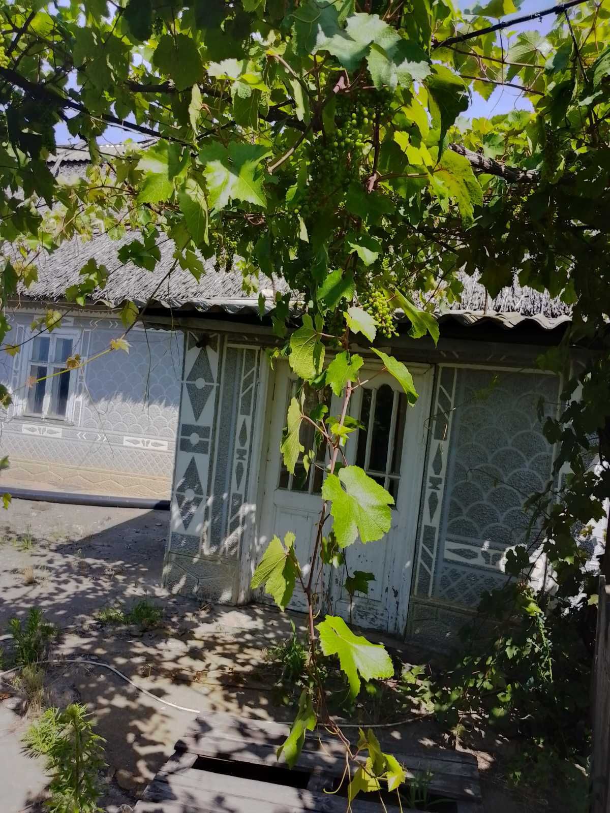 Продаю дешевый дом в Троицком