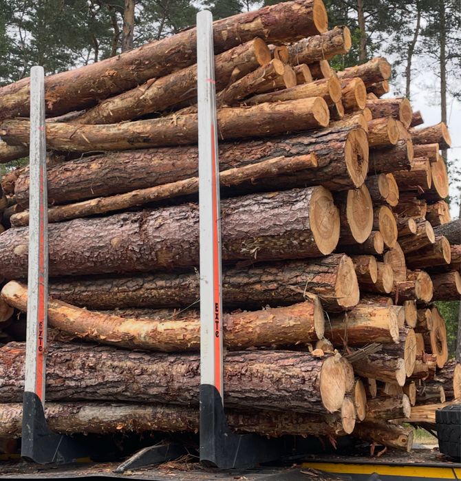 Sosna opałowa, cena z transportem !