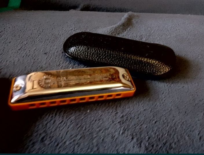 Губная гормошка нова