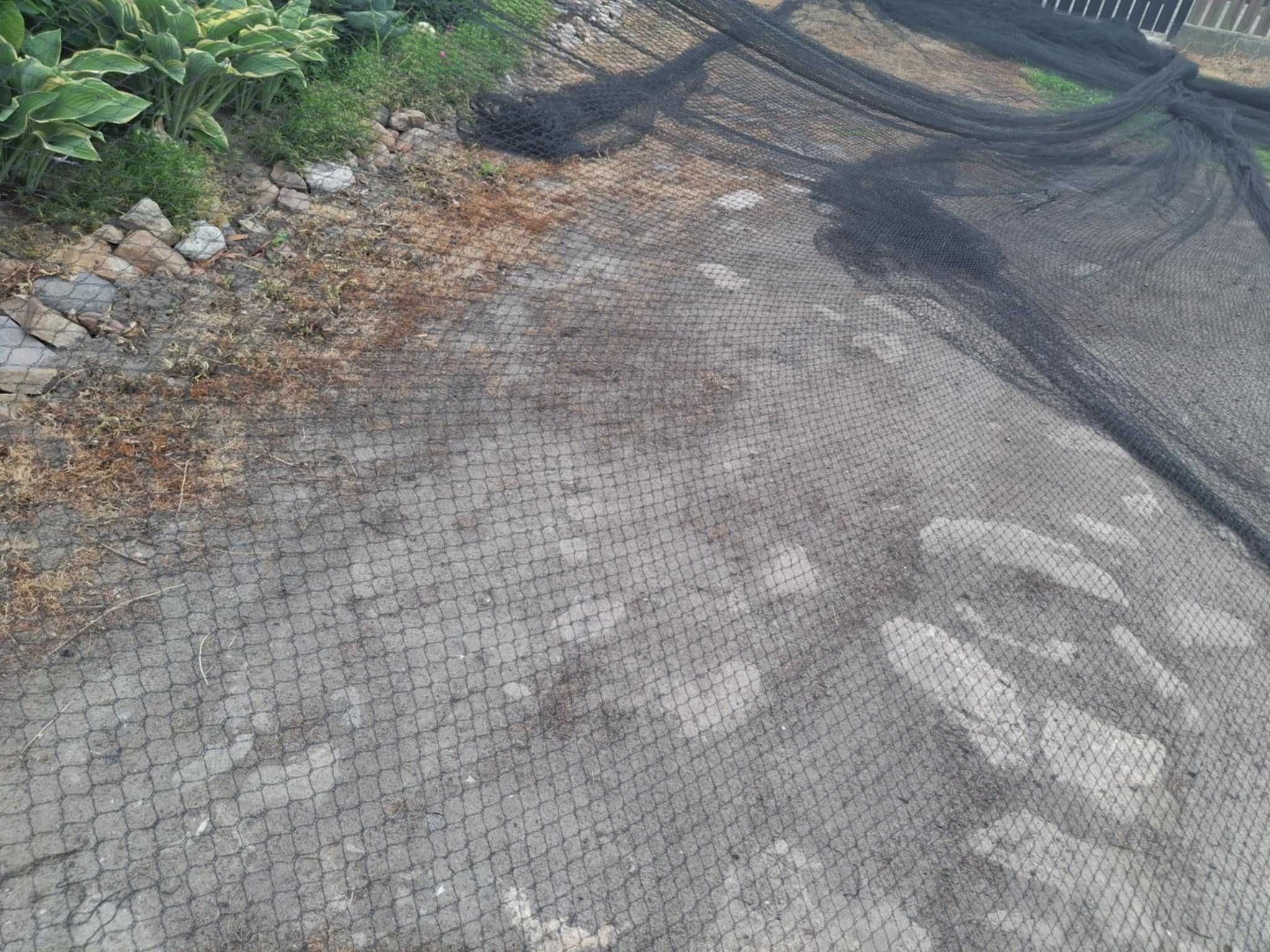 Siatka przeciw szpakom