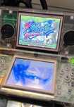 Nintendo DS Lite