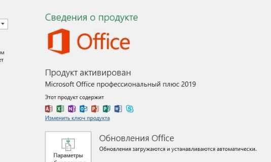 Office 2019 Pro Plus Лицензионный Ключ оплата после активации