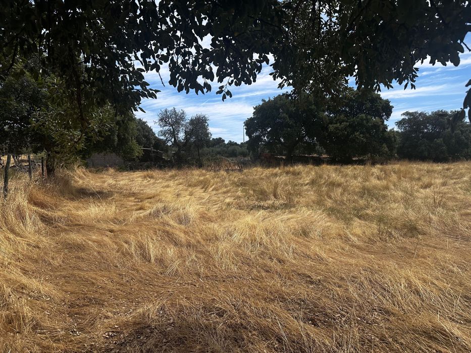Terreno Rústico 2.132ha Zebreira para Agricultura e Criação de Gado