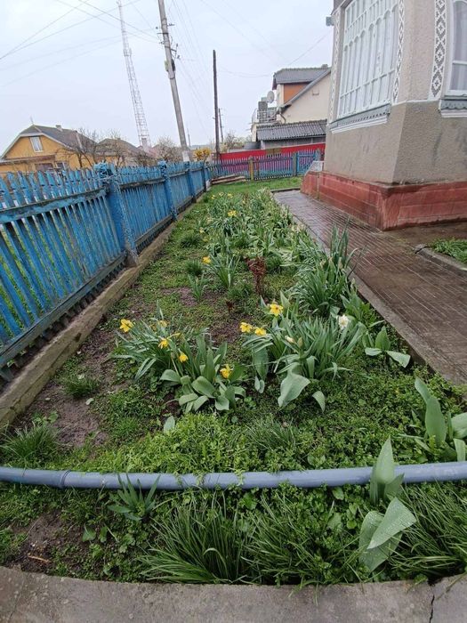 Продається будинок в м.Заліщики.