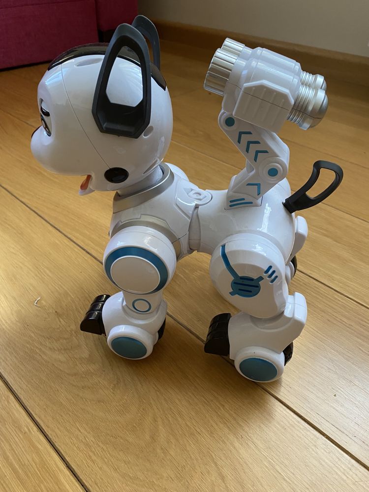 Robot Interaktywny Pies Zdalnie Sterowany Programowanie