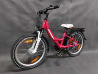 Rower dziecięcy Pegasus Avanti_20"_Alu_Shimano_Nexus