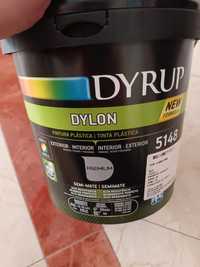 Tinta Dyrup Dylon cor Marfim 5L