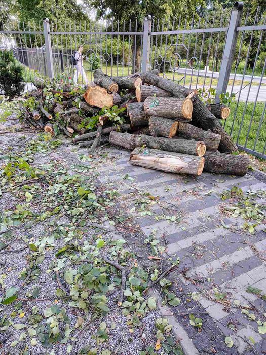 Підони віконні рами відходи акація дуб клен стара мебель