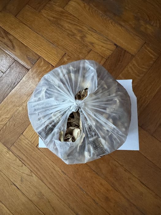 Сушені білі гриби