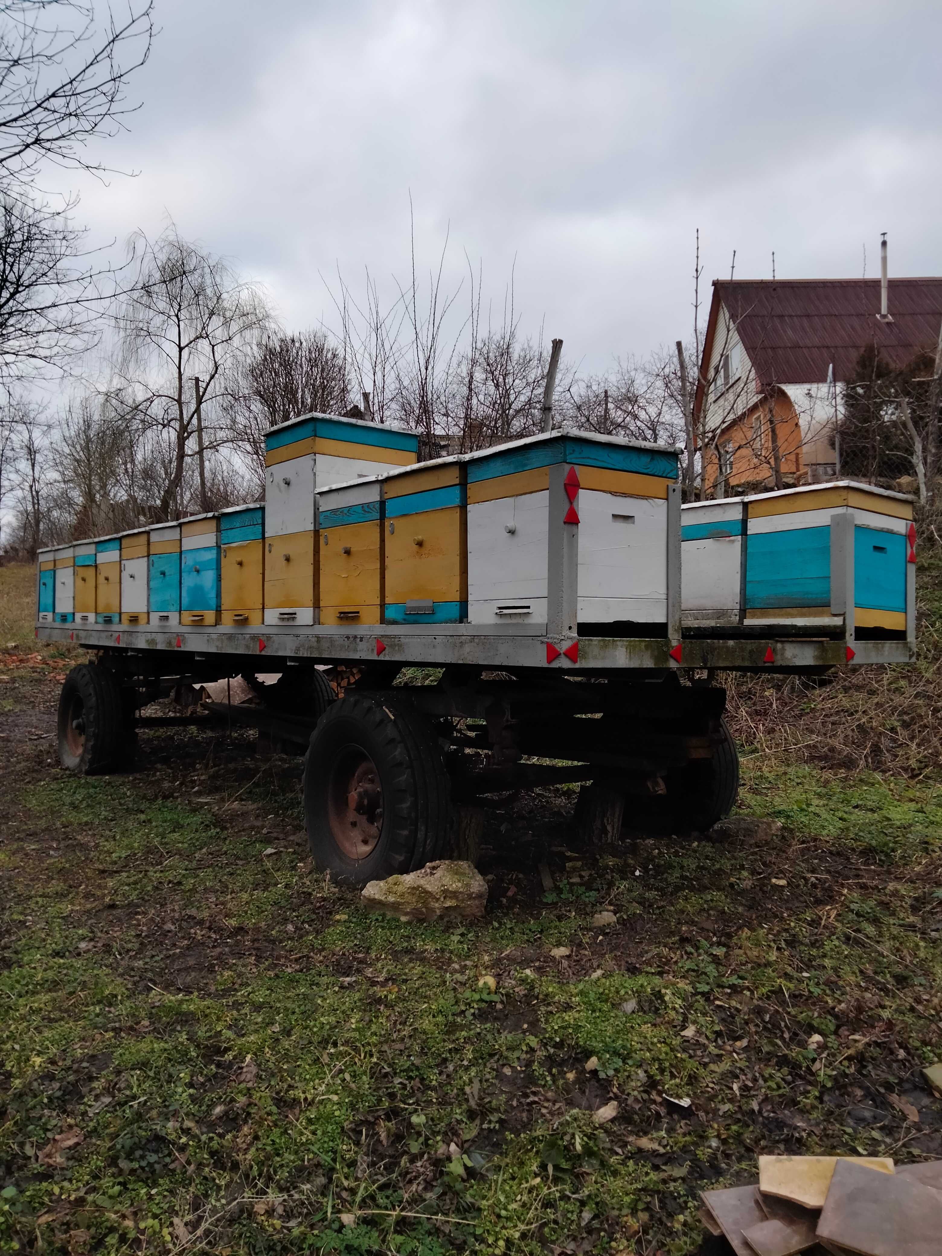 Мобільна пасіка для продуктивного бджільництва