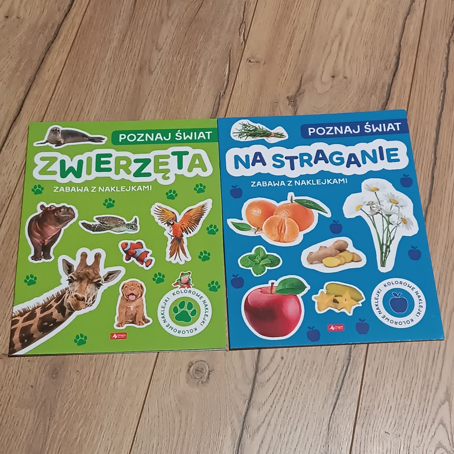 Dla dzieci poznaje świat książeczka z naklejkami