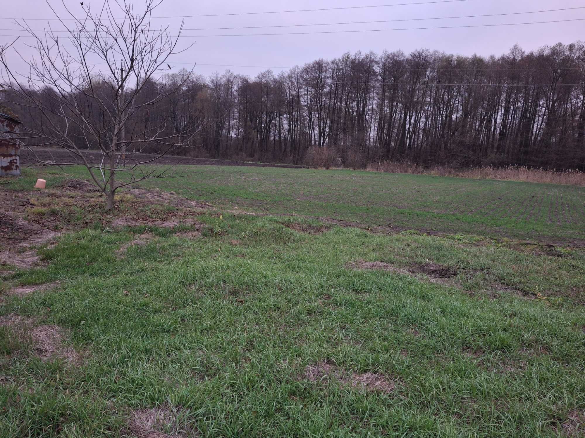 Продаю будинок село Зеленьки Миронівка Обухівський  район