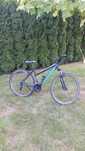 rower damka Kross