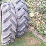 Opony rolnicze tył mf255 12.4 R32