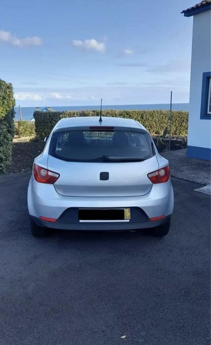 SEAT Ibiza 2010 cinza