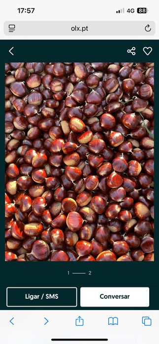 Vendo castanha em Lisboa