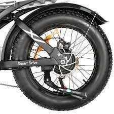 Bicicleta elétrica dois lugares caravana 1000w ou 2000w BAOLUJIE