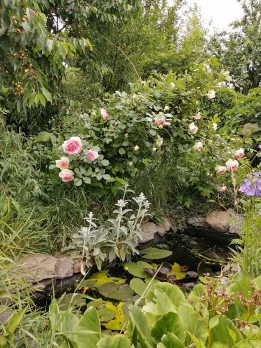 Продам будинок з ексклюзивною земельною ділянкою в центрі міста.