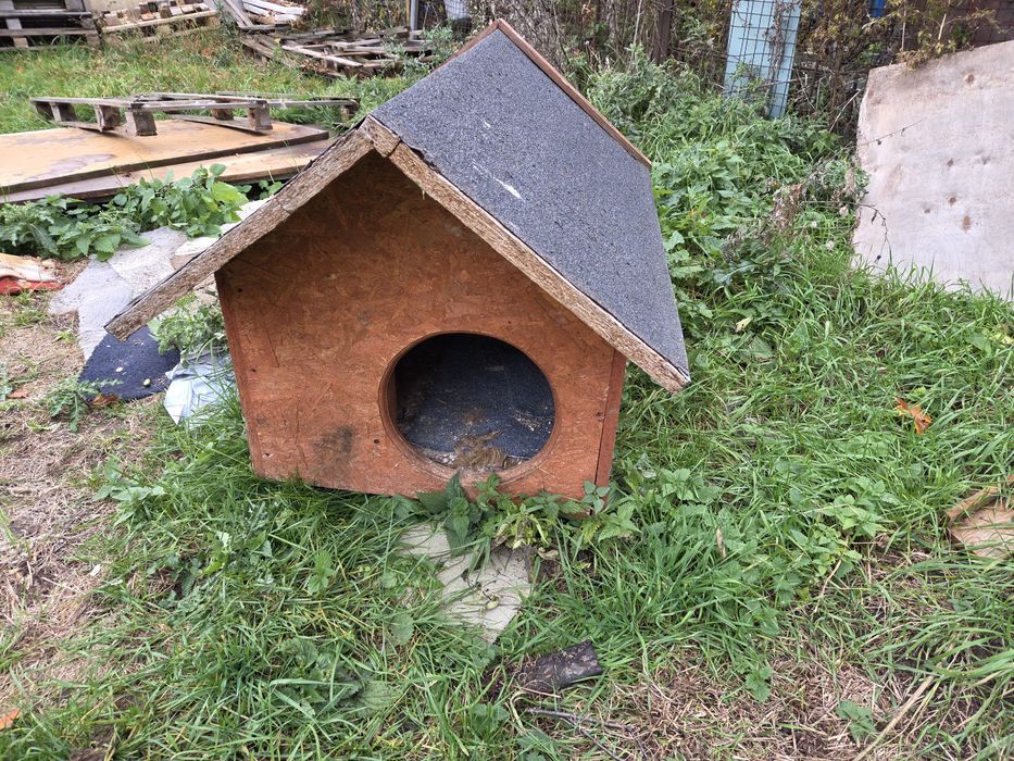 Buda dla psa na zime