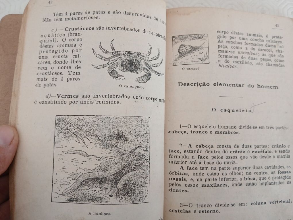 Sciencias Fisico Químicas,Zoologia, Botânica, Higiene e Agricultura