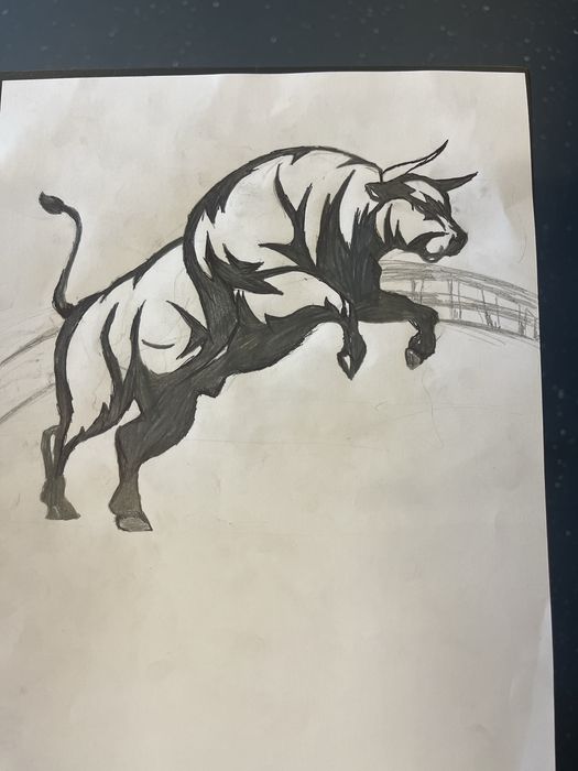 FAÇO DESENHOS à escolha e digitalizados