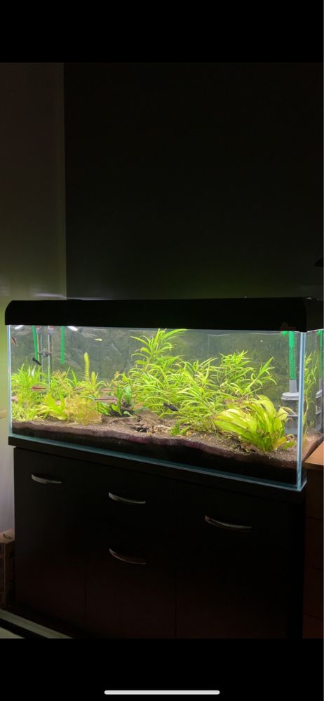 Akrarium 240l diversa + eheim professionel 3e