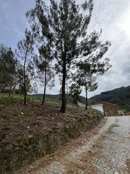Terreno rústico na aldeia de Ladeira