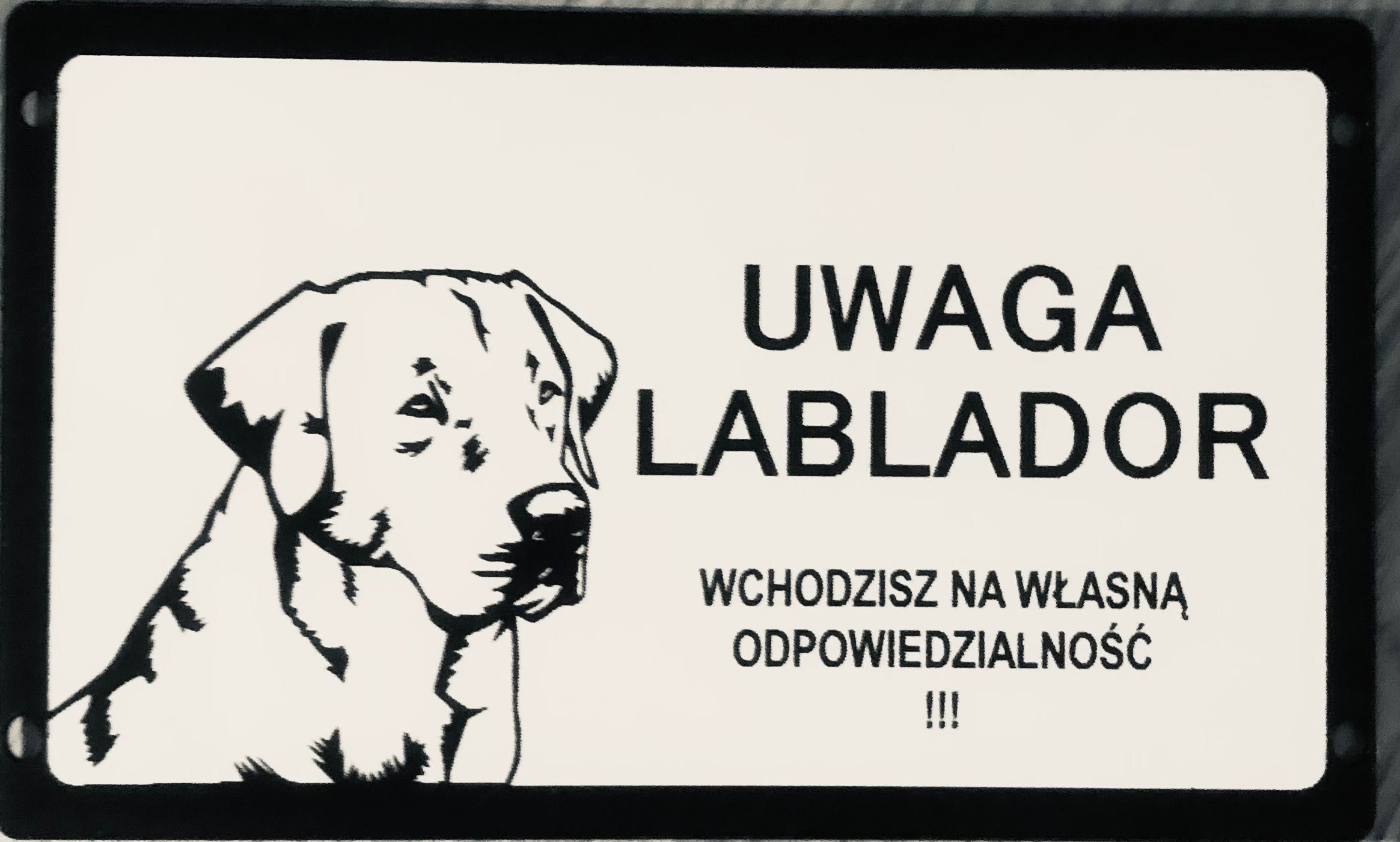 Tabliczki ostrzegawcze uwaga pies