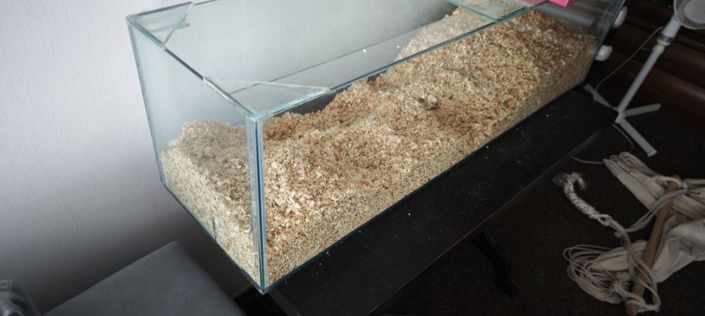 Akwarium dla chomika