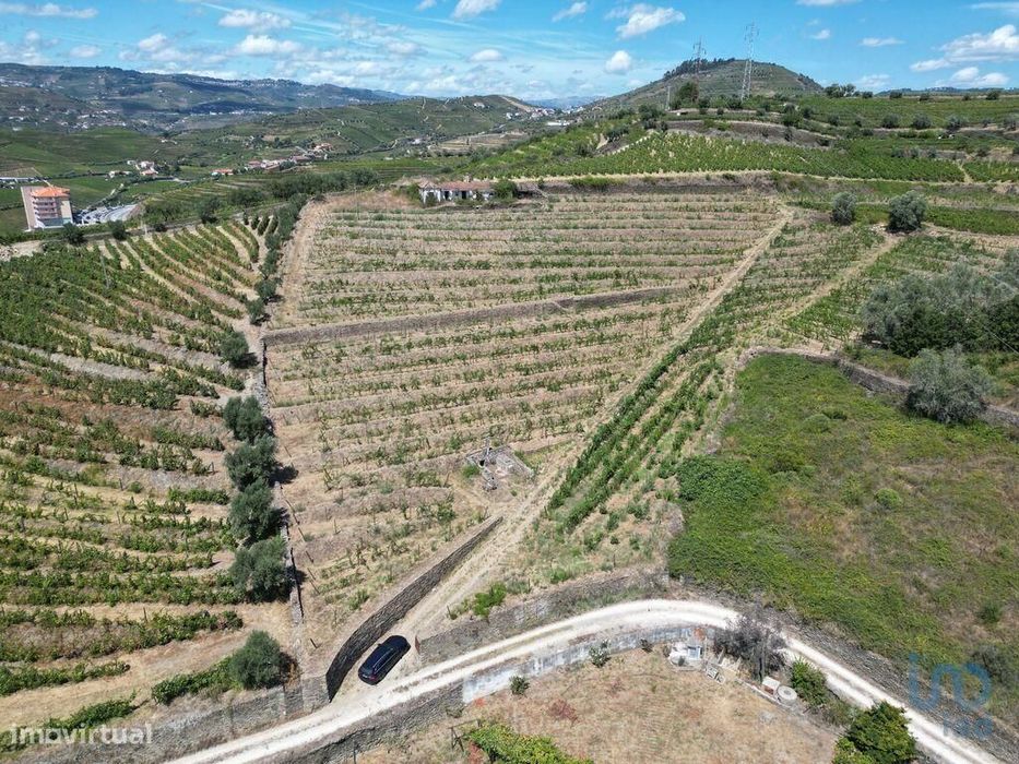 Casa de Campo T4 em Peso da Régua e Godim de 343,00 m2