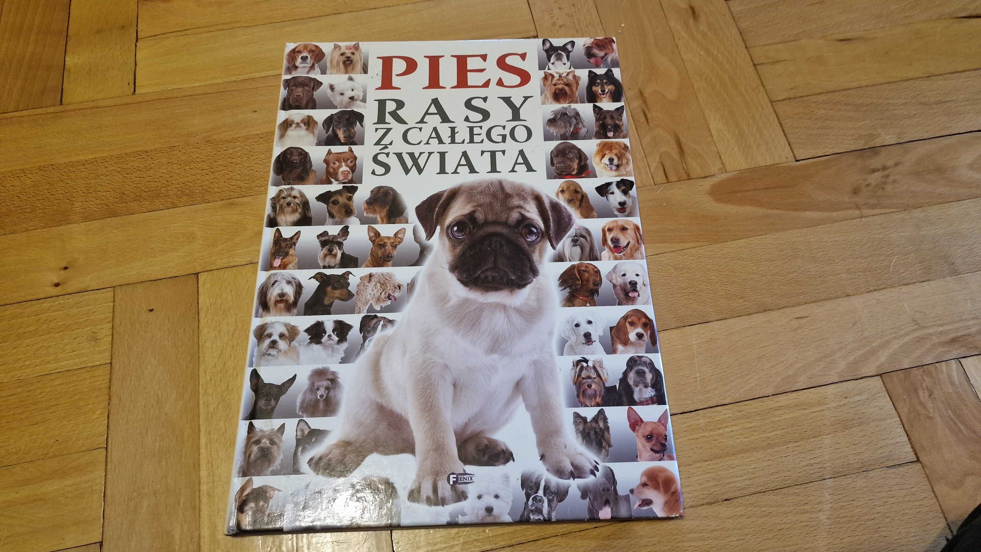 Pies - Rasy z całego Świata