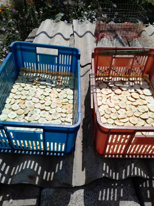 Сушка з яблука..