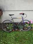 Giant Cadex CFR 2 carbon