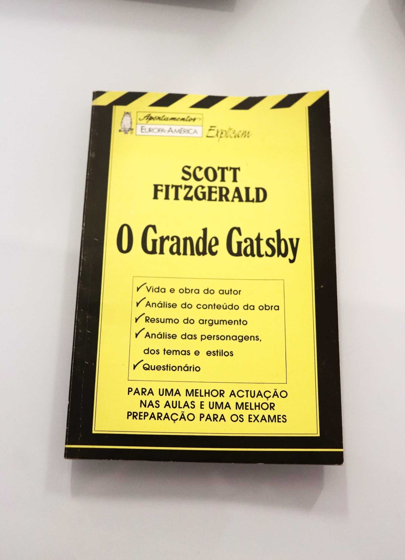 Livro: The Great Gatsby - F. Scott Fitzgerald + Livro de Apoio