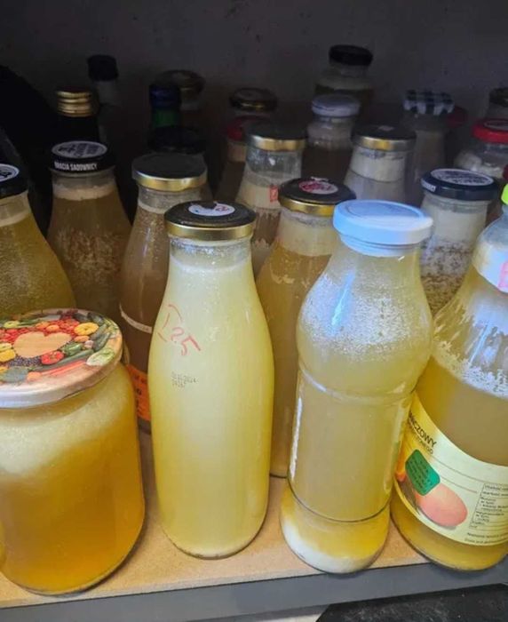 Zakwas / enzymy Bołotowa wg przepisu Barbary Kazany. 500 ml