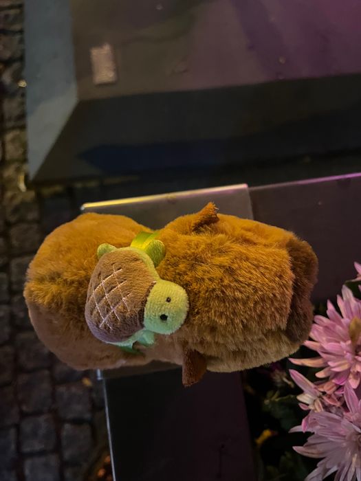 Chodzikowe Przytulaki