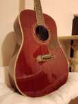 Гитара Oscar Schmidt og2tr (by Washburn)