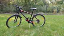 Rower Alpina ECO 20 M