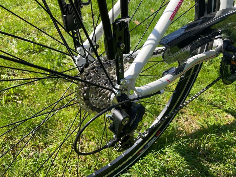 Rower Spartacus Premier 3.0 17 28"