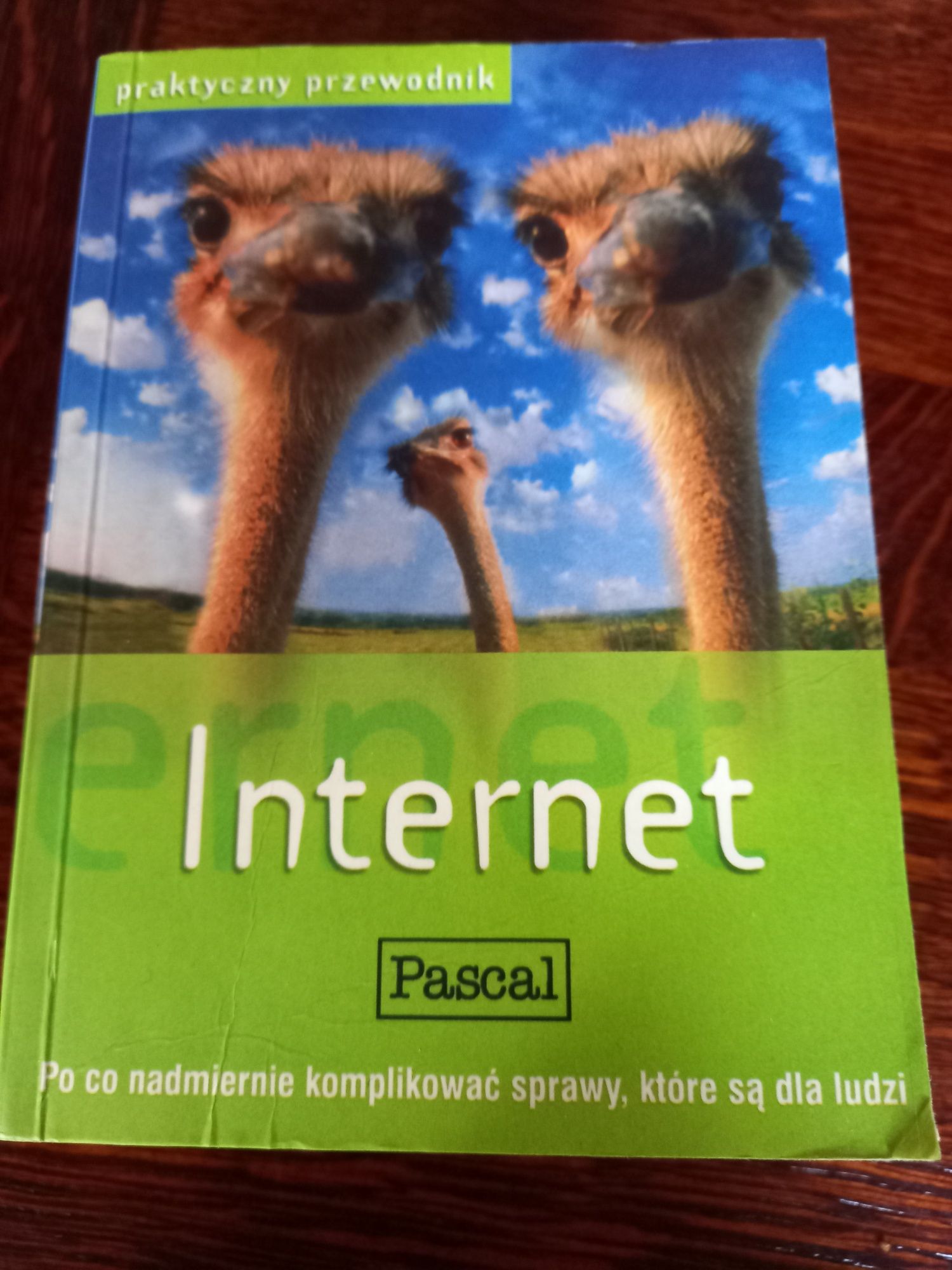 Praktyczny przewodnik Internet Pascal