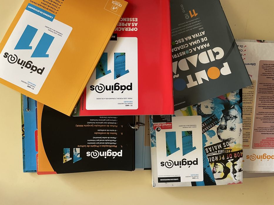 Professor: Páginas 11°