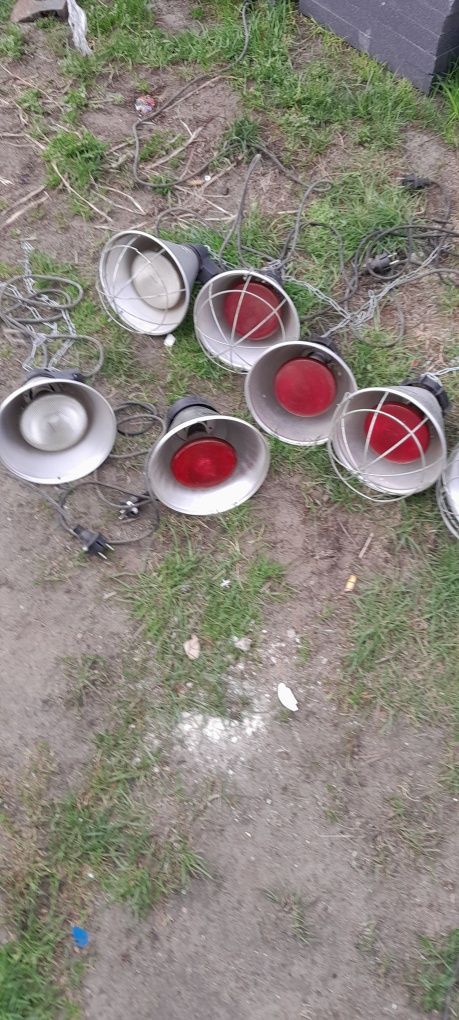Lampy dla zwierząt promieńik ciepła