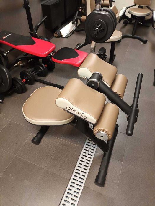 Maszyna do ćwiczeń mięśni biceps/triceps