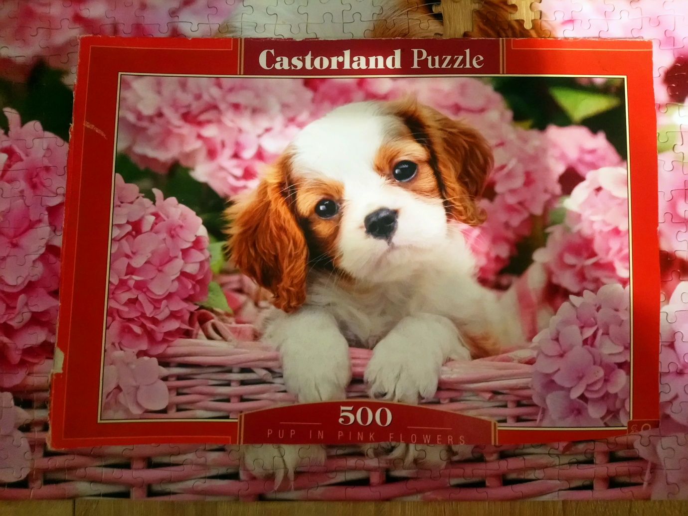 Puzzle Castorland 500 elementów Pup in Pink Flowers