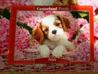 Puzzle Castorland 500 elementów Pup in Pink Flowers