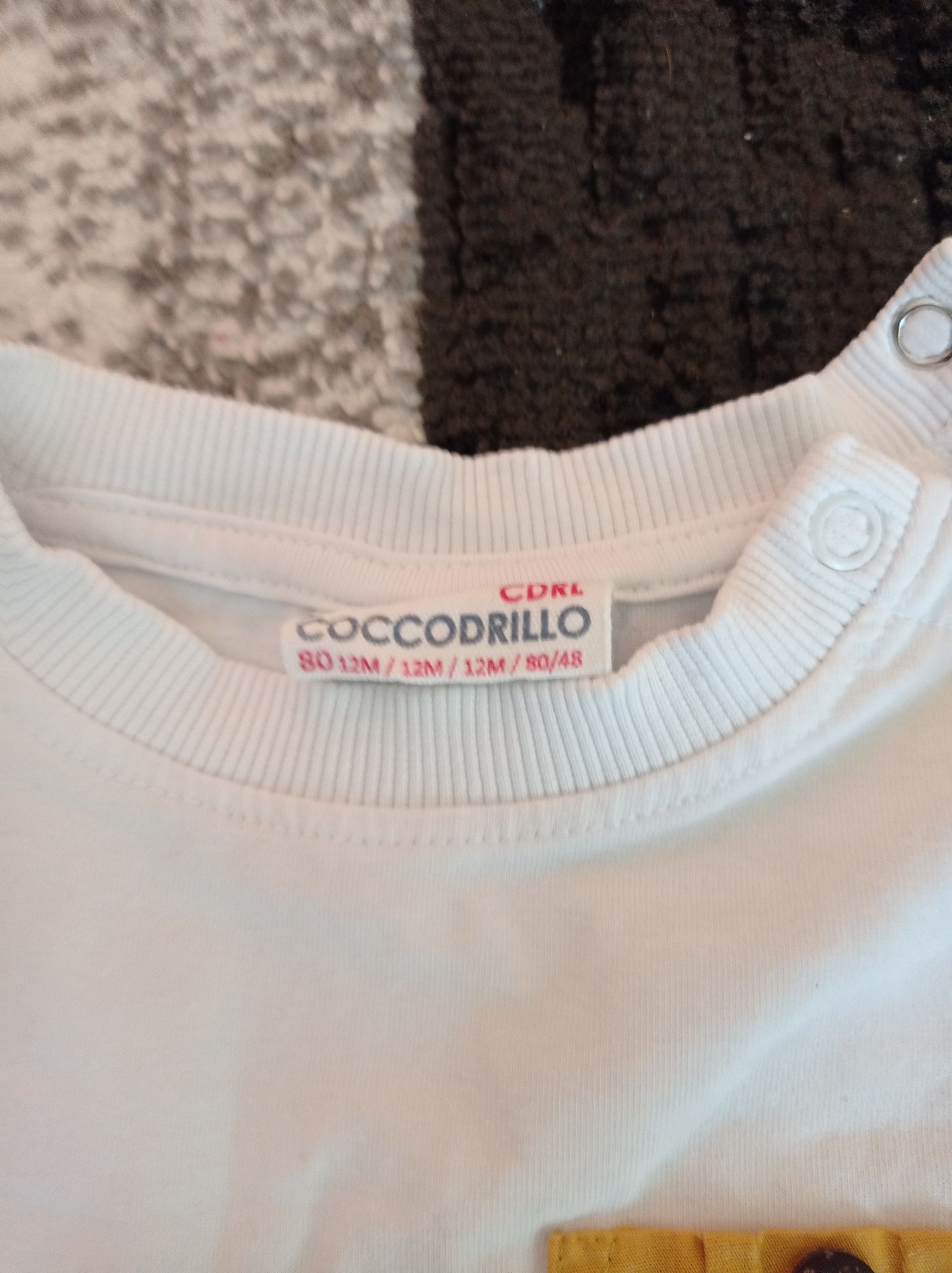 Koszulki coccodrillo 80