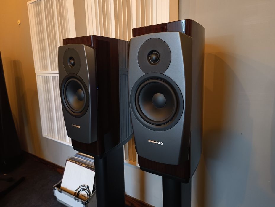 Dynaudio Confidence 20 świetne, duńskie kolumny głośnikowe